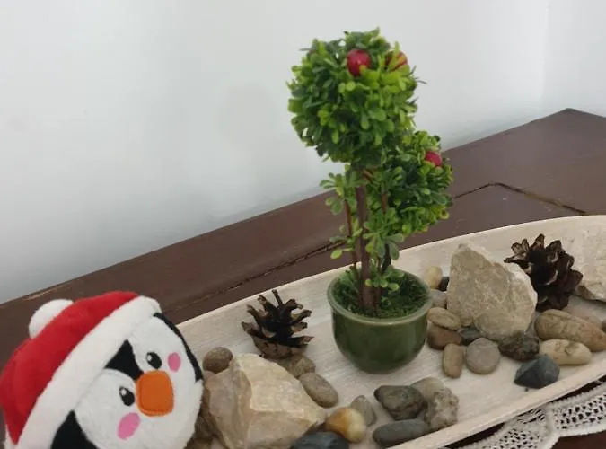 Casa Cinema * Брашов